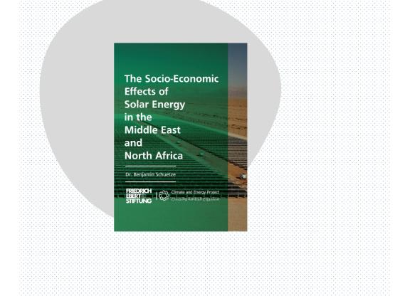 cover of FES report by Schuetze